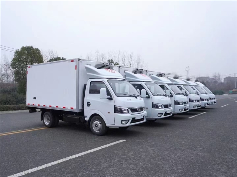2021年輕型冷藏車最受市場“恩寵”，柴油車型最為熱銷，新能源動力仍有較大的提升空間